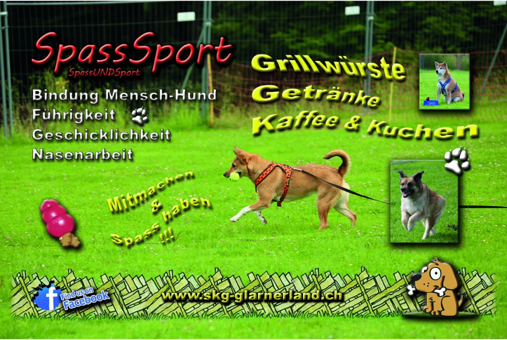 SpassSport Flyer 2015 Hinterseite